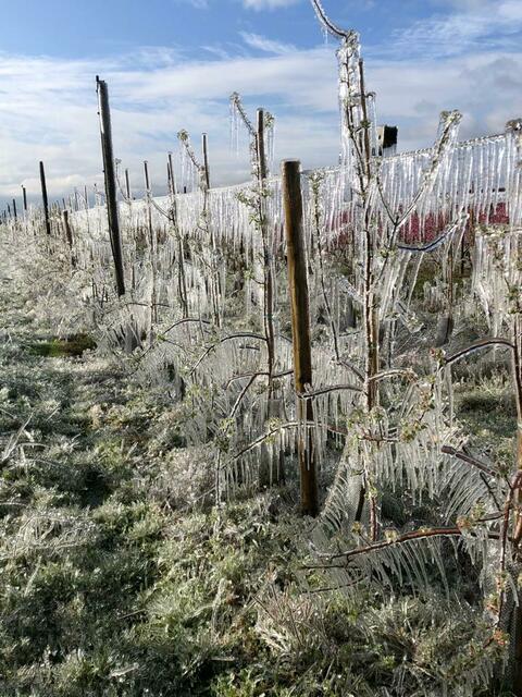 Foto: Christoph Zehfuß