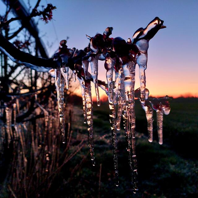 Foto: Brigitte Melder