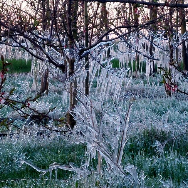 Foto: Brigitte Melder