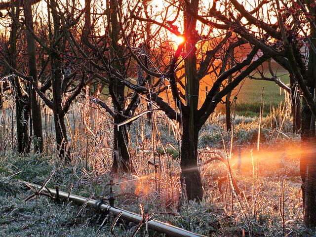 Foto: Brigitte Melder