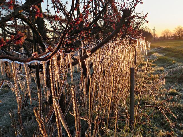 Foto: Brigitte Melder