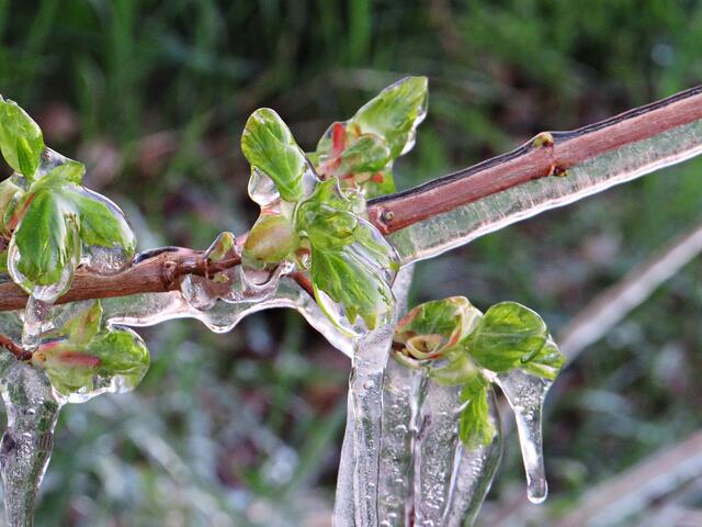 Foto: Brigitte Melder