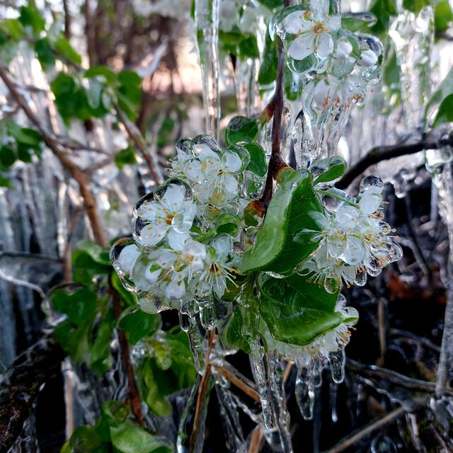 Foto: Brigitte Melder