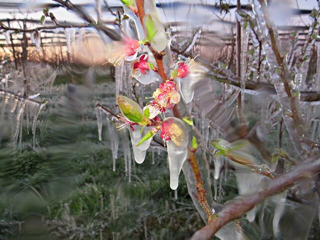 Foto: Brigitte Melder