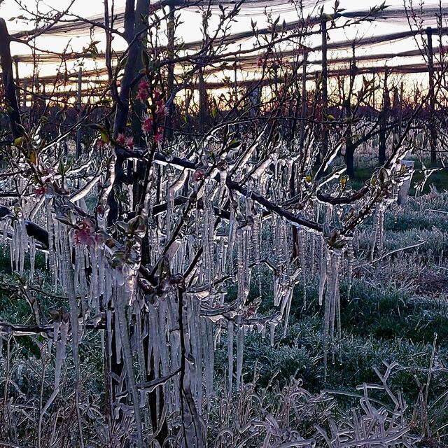 Foto: Brigitte Melder