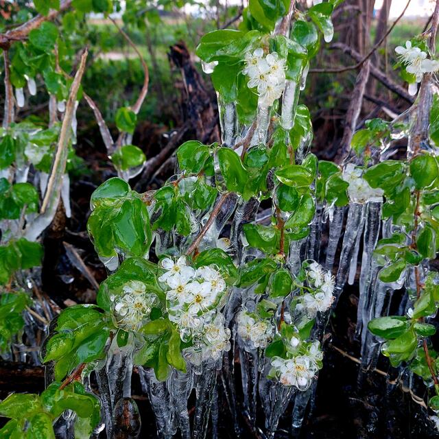 Foto: Brigitte Melder