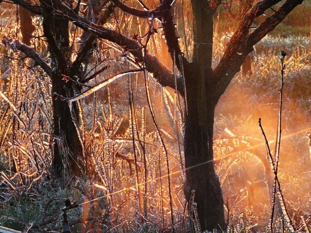 Foto: Brigitte Melder