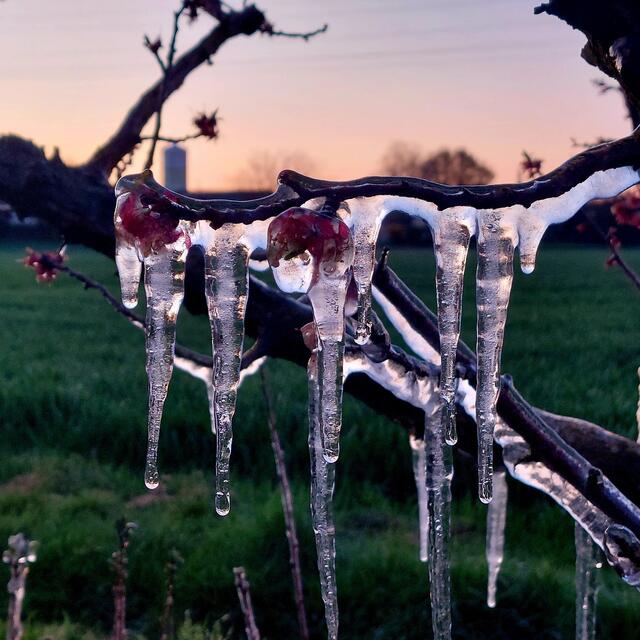 Foto: Brigitte Melder