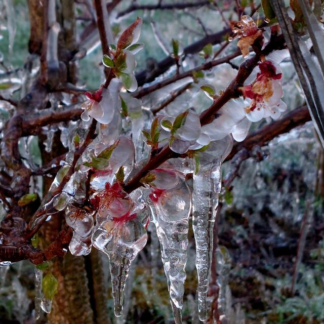 Foto: Brigitte Melder