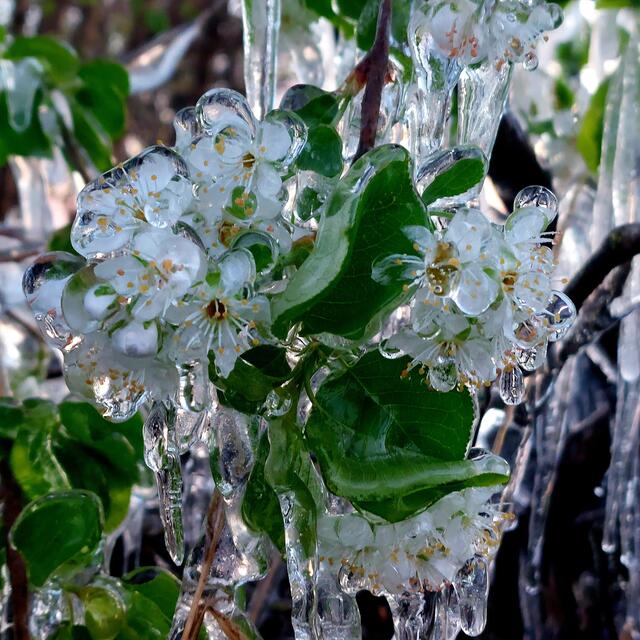 Foto: Brigitte Melder