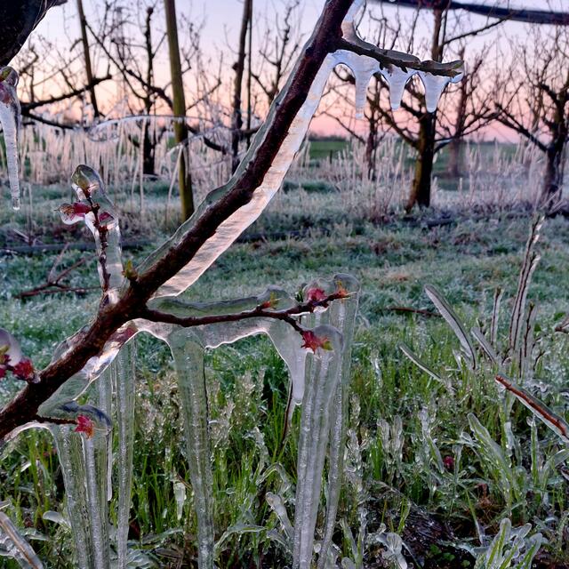 Foto: Brigitte Melder