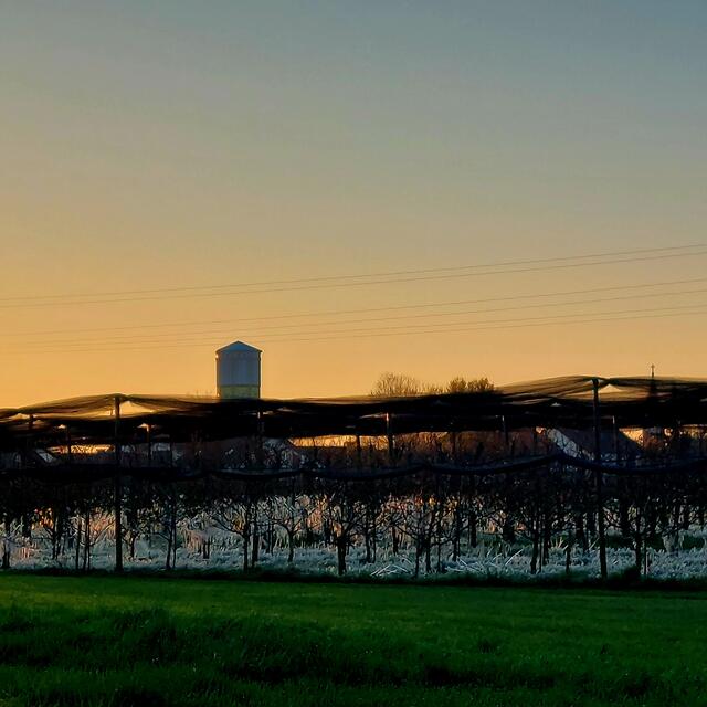Der Böhler Wasserturm im Hintergrund | Foto: Brigitte Melder