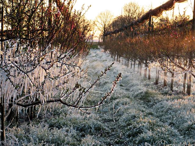 Foto: Brigitte Melder