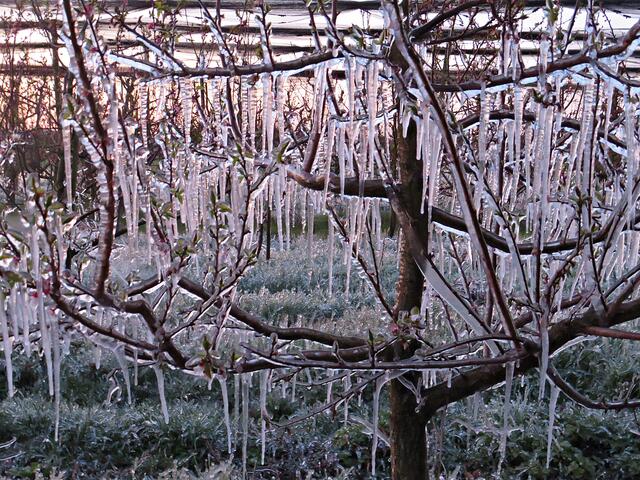 Foto: Brigitte Melder