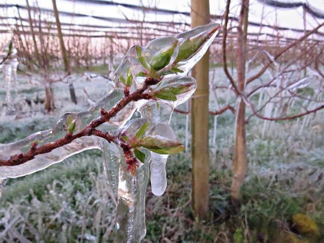 Foto: Brigitte Melder