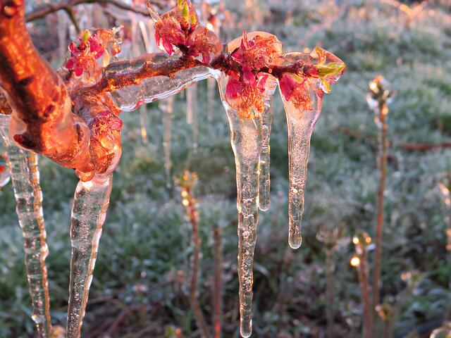 Foto: Brigitte Melder