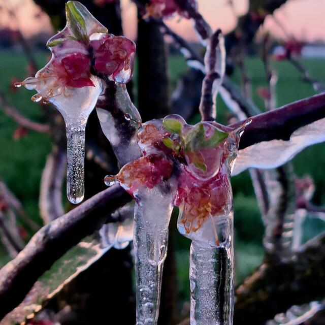 Foto: Brigitte Melder