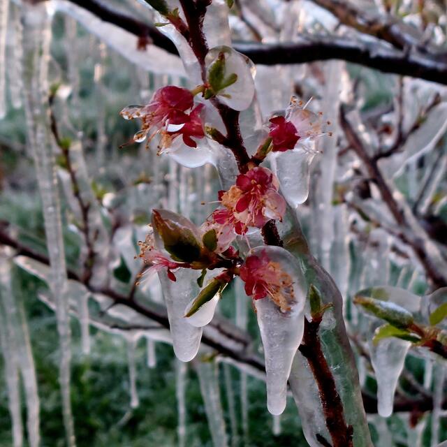 Foto: Brigitte Melder