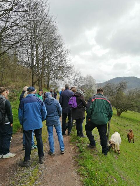 Beweidungsprojekt "Neue Hirtenwege"