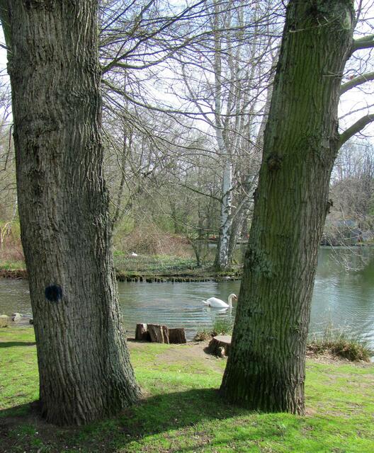 Kurze Wege zur Natur | Foto: Foto Bernd Barth KL
