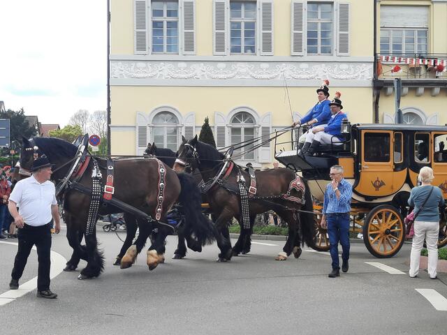 Foto: Kristin Hätterich