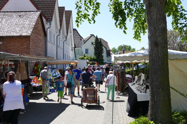 Foto: Hügelhelden
