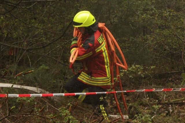 Der Brand- und Katastrophenschutz des Landkreises Germersheim führte bei 
Scheibenhardt  gemeinsam  mit  den  Feuerwehren  der  angrenzenden  Gemeinden und französischen Feuerwehreinheiten eine Waldbrandübung durch | Foto: Heike Schwitalla