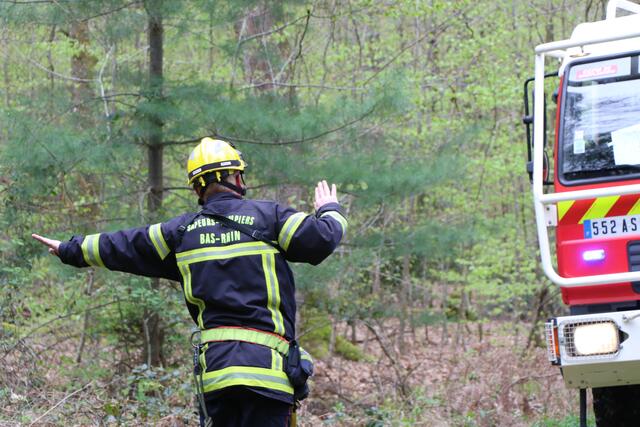 Der Brand- und Katastrophenschutz des Landkreises Germersheim führte bei 
Scheibenhardt  gemeinsam  mit  den  Feuerwehren  der  angrenzenden  Gemeinden und französischen Feuerwehreinheiten eine Waldbrandübung durch | Foto: Heike Schwitalla