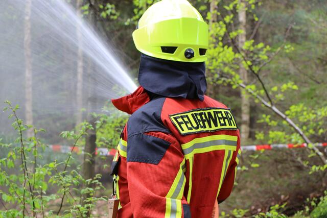 Der Brand- und Katastrophenschutz des Landkreises Germersheim führte bei 
Scheibenhardt  gemeinsam  mit  den  Feuerwehren  der  angrenzenden  Gemeinden und französischen Feuerwehreinheiten eine Waldbrandübung durch | Foto: Heike Schwitalla