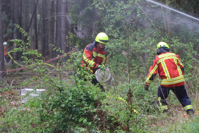 Der Brand- und Katastrophenschutz des Landkreises Germersheim führte bei 
Scheibenhardt  gemeinsam  mit  den  Feuerwehren  der  angrenzenden  Gemeinden und französischen Feuerwehreinheiten eine Waldbrandübung durch | Foto: Heike Schwitalla
