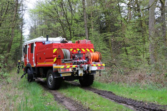 Der Brand- und Katastrophenschutz des Landkreises Germersheim führte bei 
Scheibenhardt  gemeinsam  mit  den  Feuerwehren  der  angrenzenden  Gemeinden und französischen Feuerwehreinheiten eine Waldbrandübung durch | Foto: Heike Schwitalla