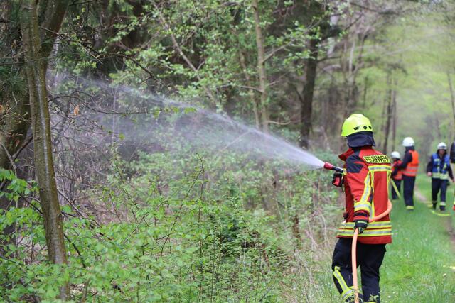 Der Brand- und Katastrophenschutz des Landkreises Germersheim führte bei 
Scheibenhardt  gemeinsam  mit  den  Feuerwehren  der  angrenzenden  Gemeinden und französischen Feuerwehreinheiten eine Waldbrandübung durch | Foto: Heike Schwitalla