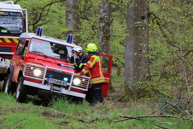 Der Brand- und Katastrophenschutz des Landkreises Germersheim führte bei 
Scheibenhardt  gemeinsam  mit  den  Feuerwehren  der  angrenzenden  Gemeinden und französischen Feuerwehreinheiten eine Waldbrandübung durch | Foto: Heike Schwitalla