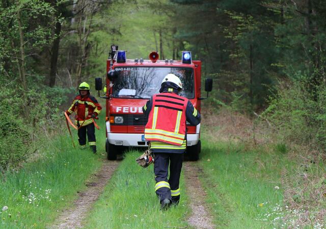 Der Brand- und Katastrophenschutz des Landkreises Germersheim führte bei 
Scheibenhardt  gemeinsam  mit  den  Feuerwehren  der  angrenzenden  Gemeinden und französischen Feuerwehreinheiten eine Waldbrandübung durch | Foto: Heike Schwitalla