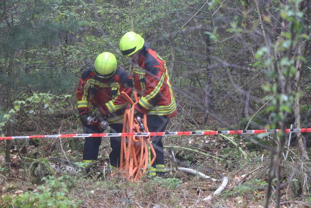 Der Brand- und Katastrophenschutz des Landkreises Germersheim führte bei 
Scheibenhardt  gemeinsam  mit  den  Feuerwehren  der  angrenzenden  Gemeinden und französischen Feuerwehreinheiten eine Waldbrandübung durch | Foto: Heike Schwitalla