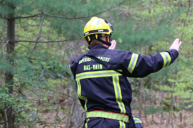 Der Brand- und Katastrophenschutz des Landkreises Germersheim führte bei 
Scheibenhardt  gemeinsam  mit  den  Feuerwehren  der  angrenzenden  Gemeinden und französischen Feuerwehreinheiten eine Waldbrandübung durch | Foto: Heike Schwitalla