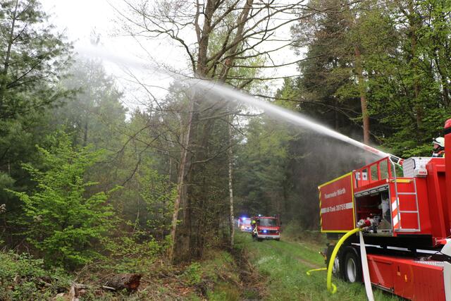 Der Brand- und Katastrophenschutz des Landkreises Germersheim führte bei 
Scheibenhardt  gemeinsam  mit  den  Feuerwehren  der  angrenzenden  Gemeinden und französischen Feuerwehreinheiten eine Waldbrandübung durch | Foto: Heike Schwitalla
