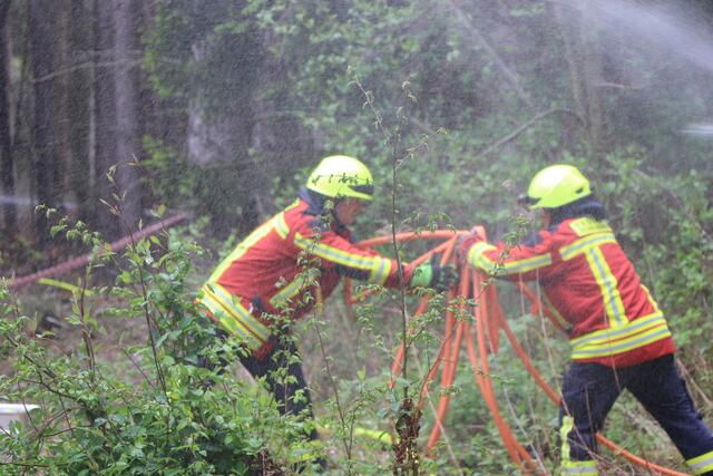Der Brand- und Katastrophenschutz des Landkreises Germersheim führte bei 
Scheibenhardt  gemeinsam  mit  den  Feuerwehren  der  angrenzenden  Gemeinden und französischen Feuerwehreinheiten eine Waldbrandübung durch | Foto: Heike Schwitalla