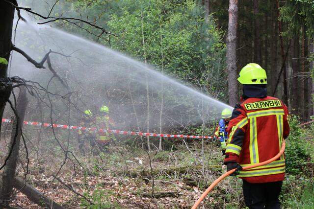 Der Brand- und Katastrophenschutz des Landkreises Germersheim führte bei 
Scheibenhardt  gemeinsam  mit  den  Feuerwehren  der  angrenzenden  Gemeinden und französischen Feuerwehreinheiten eine Waldbrandübung durch | Foto: Heike Schwitalla