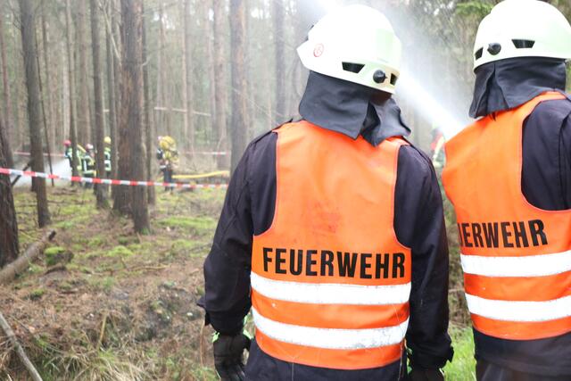 Der Brand- und Katastrophenschutz des Landkreises Germersheim führte bei 
Scheibenhardt  gemeinsam  mit  den  Feuerwehren  der  angrenzenden  Gemeinden und französischen Feuerwehreinheiten eine Waldbrandübung durch | Foto: Heike Schwitalla