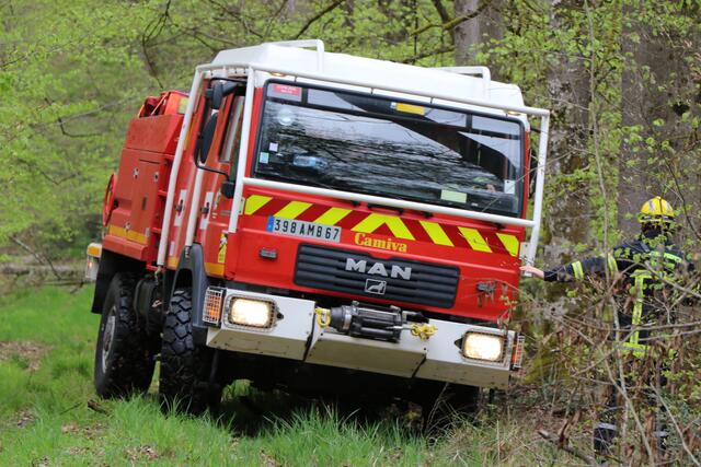 Der Brand- und Katastrophenschutz des Landkreises Germersheim führte bei 
Scheibenhardt  gemeinsam  mit  den  Feuerwehren  der  angrenzenden  Gemeinden und französischen Feuerwehreinheiten eine Waldbrandübung durch | Foto: Heike Schwitalla