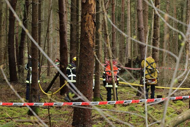 Der Brand- und Katastrophenschutz des Landkreises Germersheim führte bei 
Scheibenhardt  gemeinsam  mit  den  Feuerwehren  der  angrenzenden  Gemeinden und französischen Feuerwehreinheiten eine Waldbrandübung durch | Foto: Heike Schwitalla