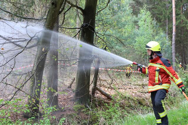 Der Brand- und Katastrophenschutz des Landkreises Germersheim führte bei 
Scheibenhardt  gemeinsam  mit  den  Feuerwehren  der  angrenzenden  Gemeinden und französischen Feuerwehreinheiten eine Waldbrandübung durch | Foto: Heike Schwitalla