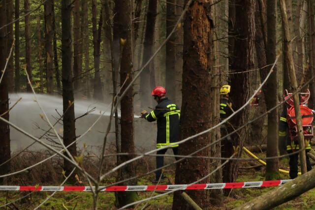 Der Brand- und Katastrophenschutz des Landkreises Germersheim führte bei 
Scheibenhardt  gemeinsam  mit  den  Feuerwehren  der  angrenzenden  Gemeinden und französischen Feuerwehreinheiten eine Waldbrandübung durch | Foto: Heike Schwitalla