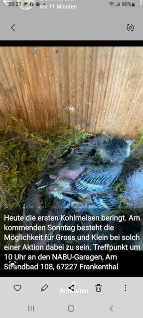 Foto: Charlotte Schumann