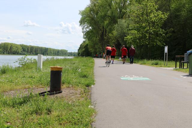Leinpfad am Rhein entlang barrierefrei ausgebaut | Foto: Heike Schwitalla