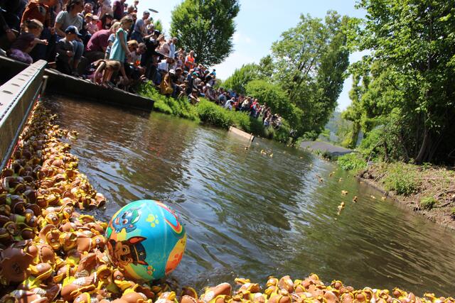 Foto: Pacher, Markus