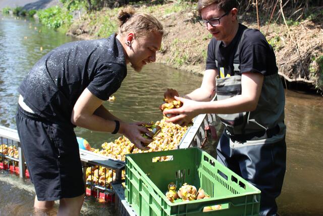 Foto: Pacher, Markus