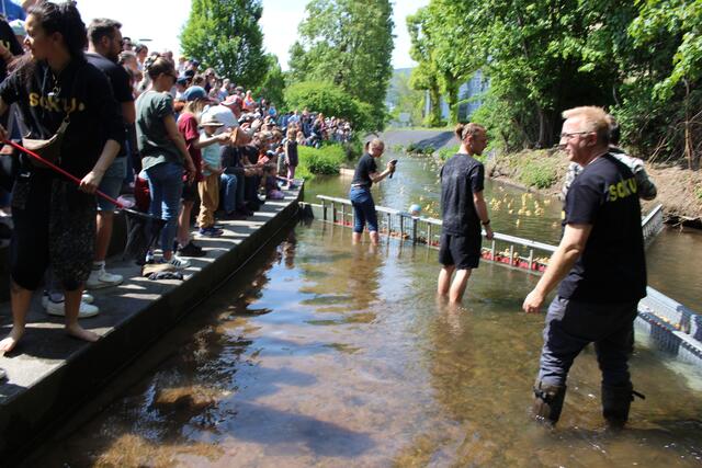 Foto: Pacher, Markus