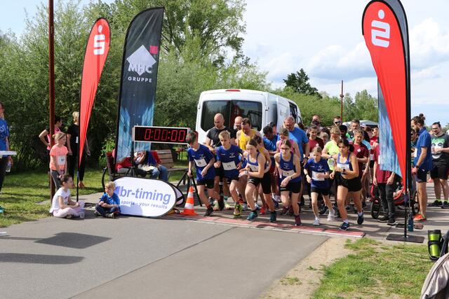 Start des 2. DRK-Spendenlaufs - über 6,2 Kilometer liefen Teilnehmer aus der ganzen Pfalz am Rhein entlang | Foto: Heike Schwitalla